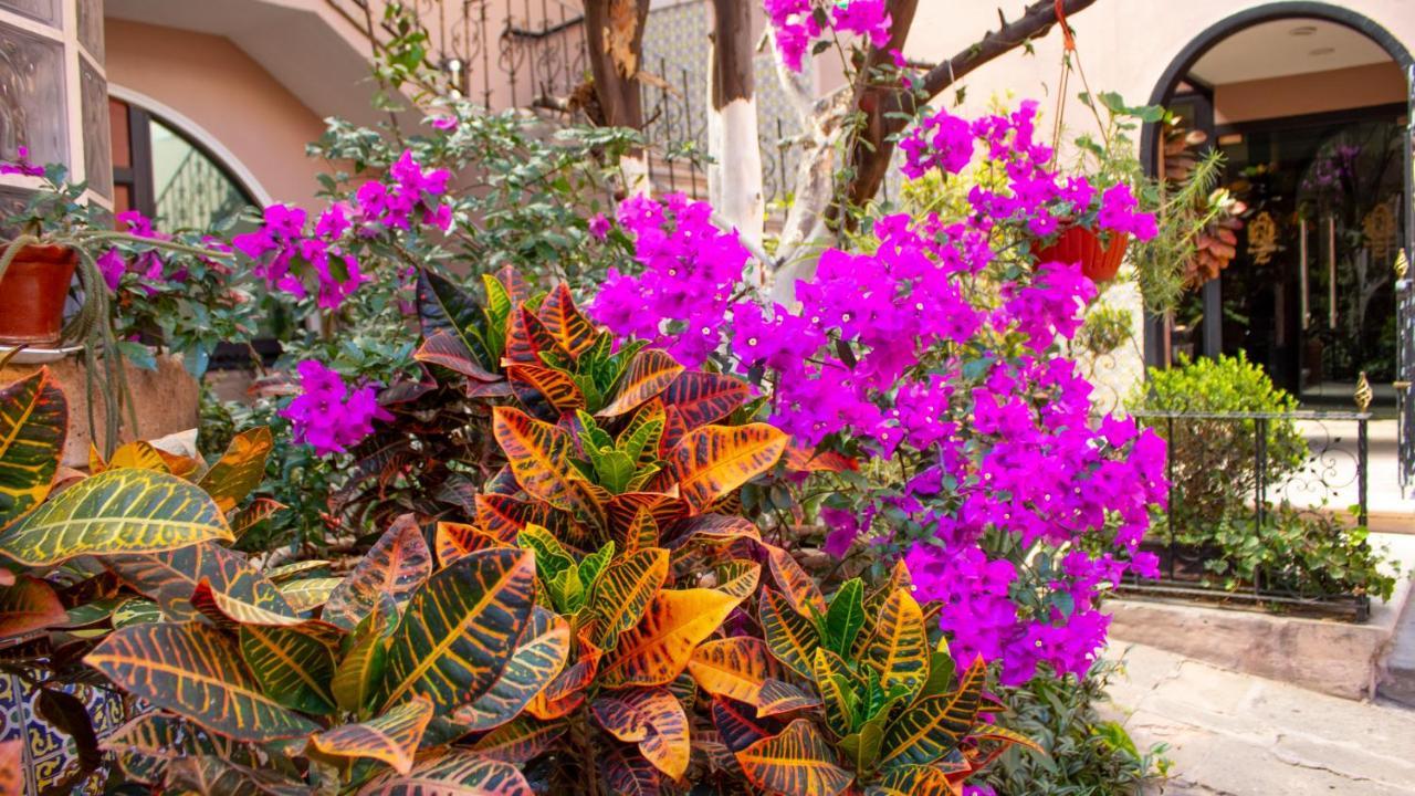 Mansion Mijashe Wellness & Travel House Hotel Morelia Exterior photo