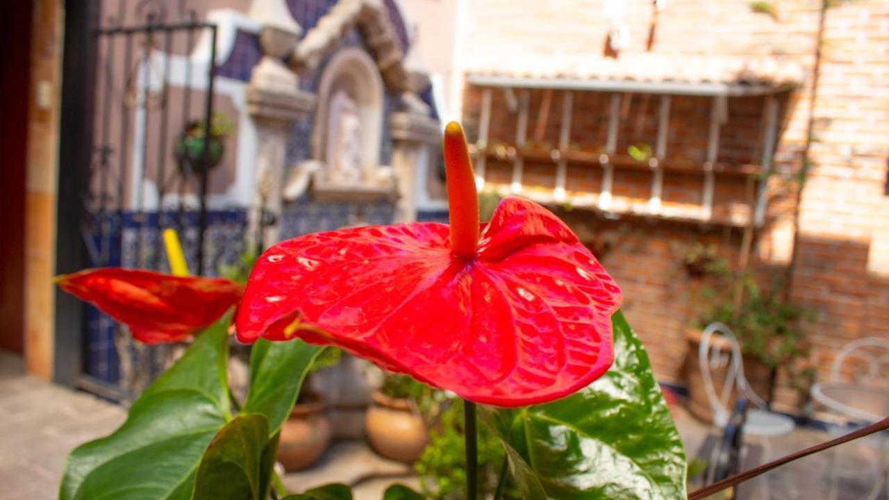 Mansion Mijashe Wellness & Travel House Hotel Morelia Exterior photo